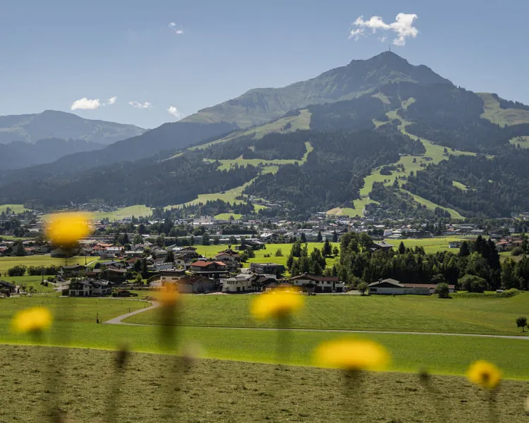 Blick auf St. Johann mit Bergen und Wiesen